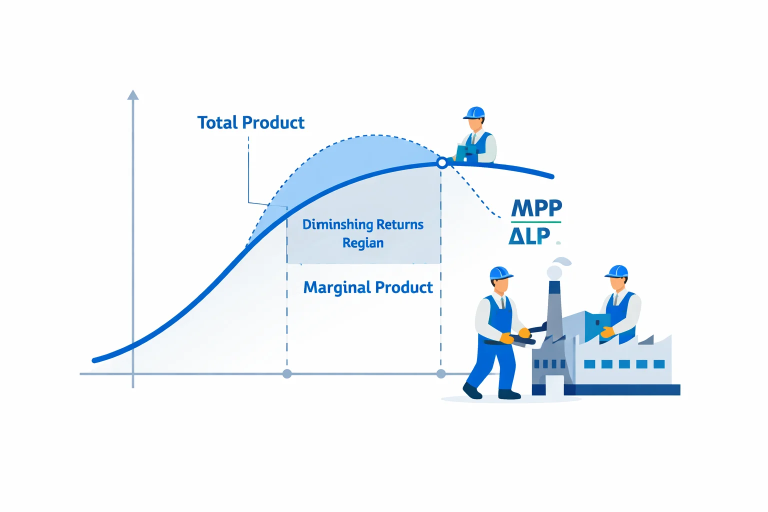 Marginal physical product diagram showing total product curve, diminishing returns region, and MPP formula with production function analysis