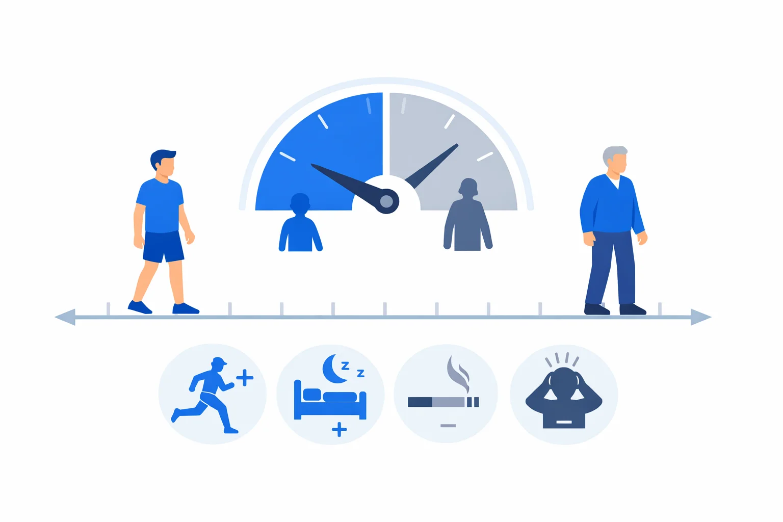 Physical age calculator comparing biological and chronological age with icons for habits that add or subtract years